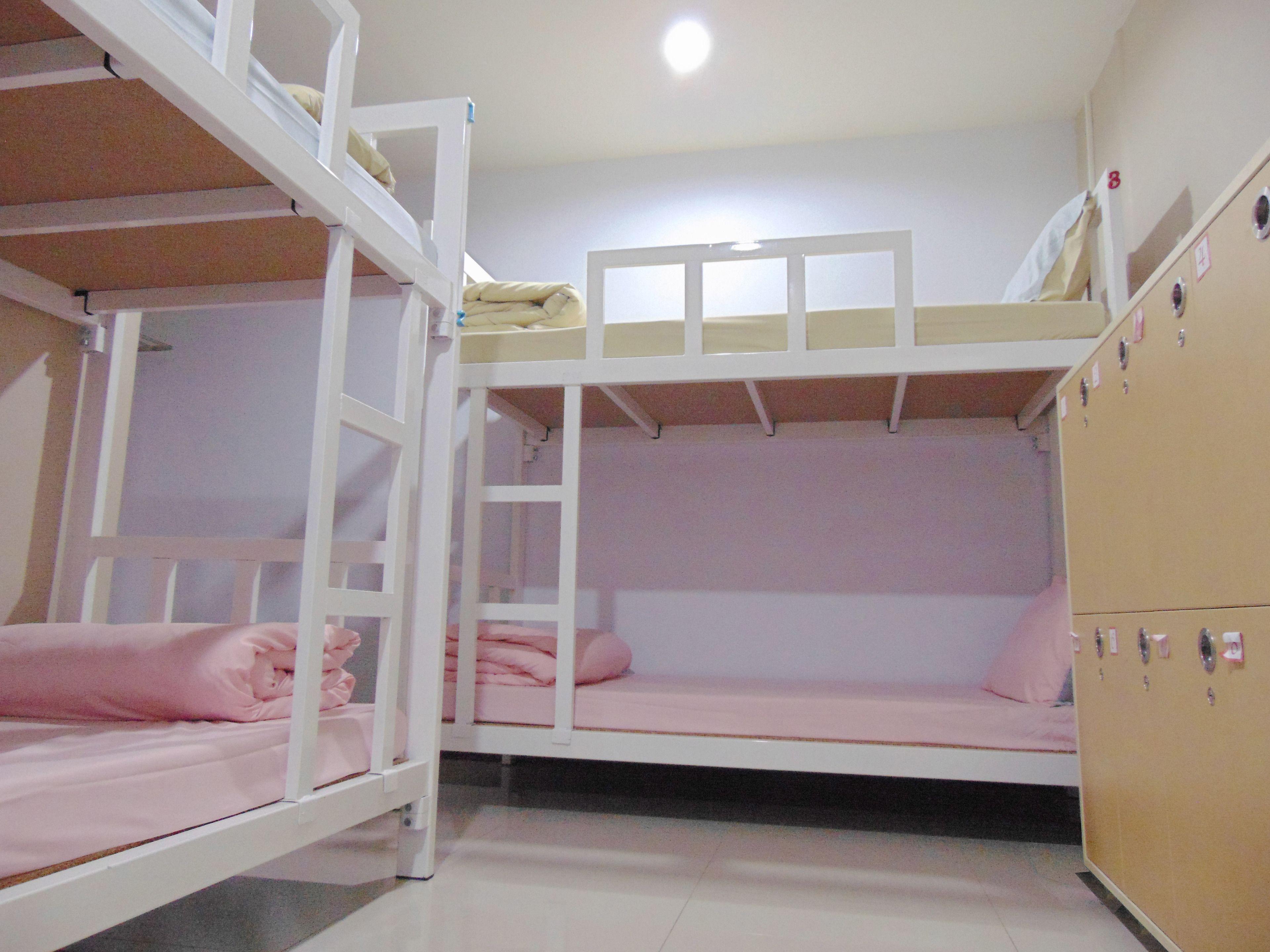Bunk Bed Mixed Dormitory Room