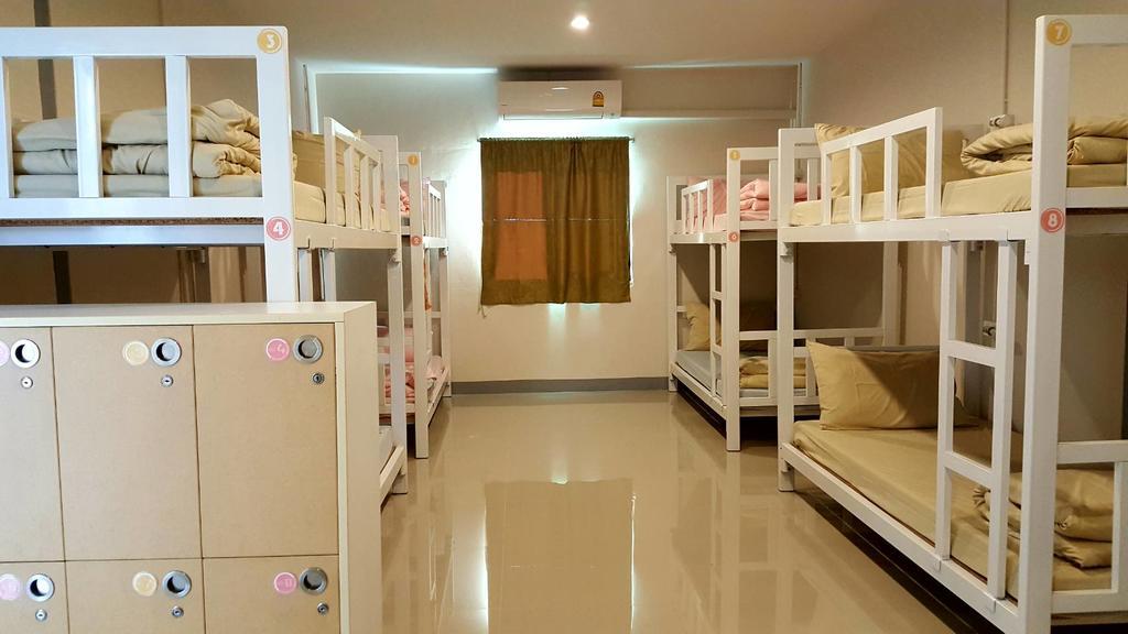 Bunk Bed Mixed Dormitory Room